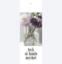 tack s� himla mycket