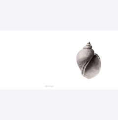 Sn�cka 