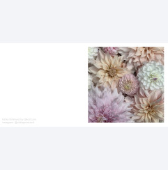 Dahlior by Ulrika Gr�nlund