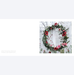 Amaryllis by Ulrika Gr�nlund