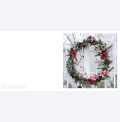 Amaryllis by Ulrika Gr�nlund